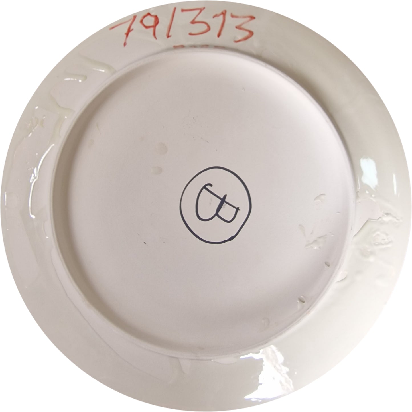 Caninas: medusa 79/313 B