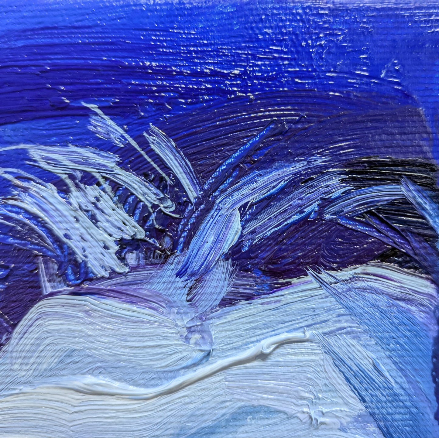 The confidently astute look