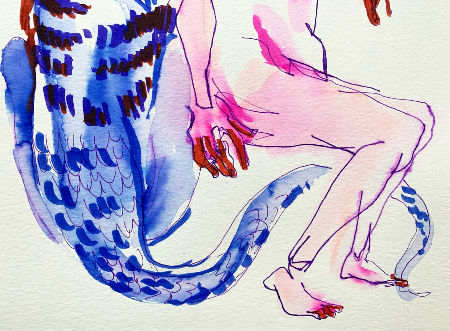 Le chat qui aime les roses