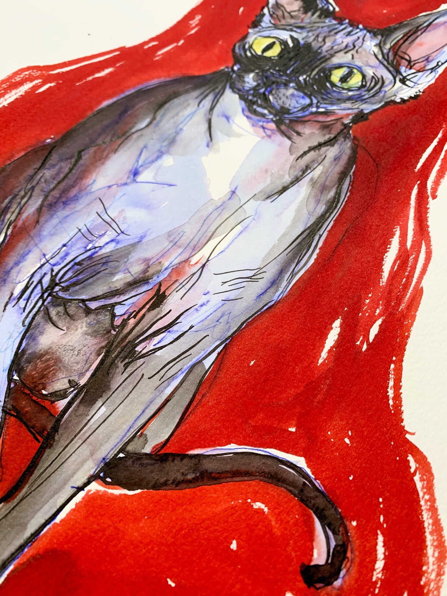 Kali voit des choses que je ne vois pas