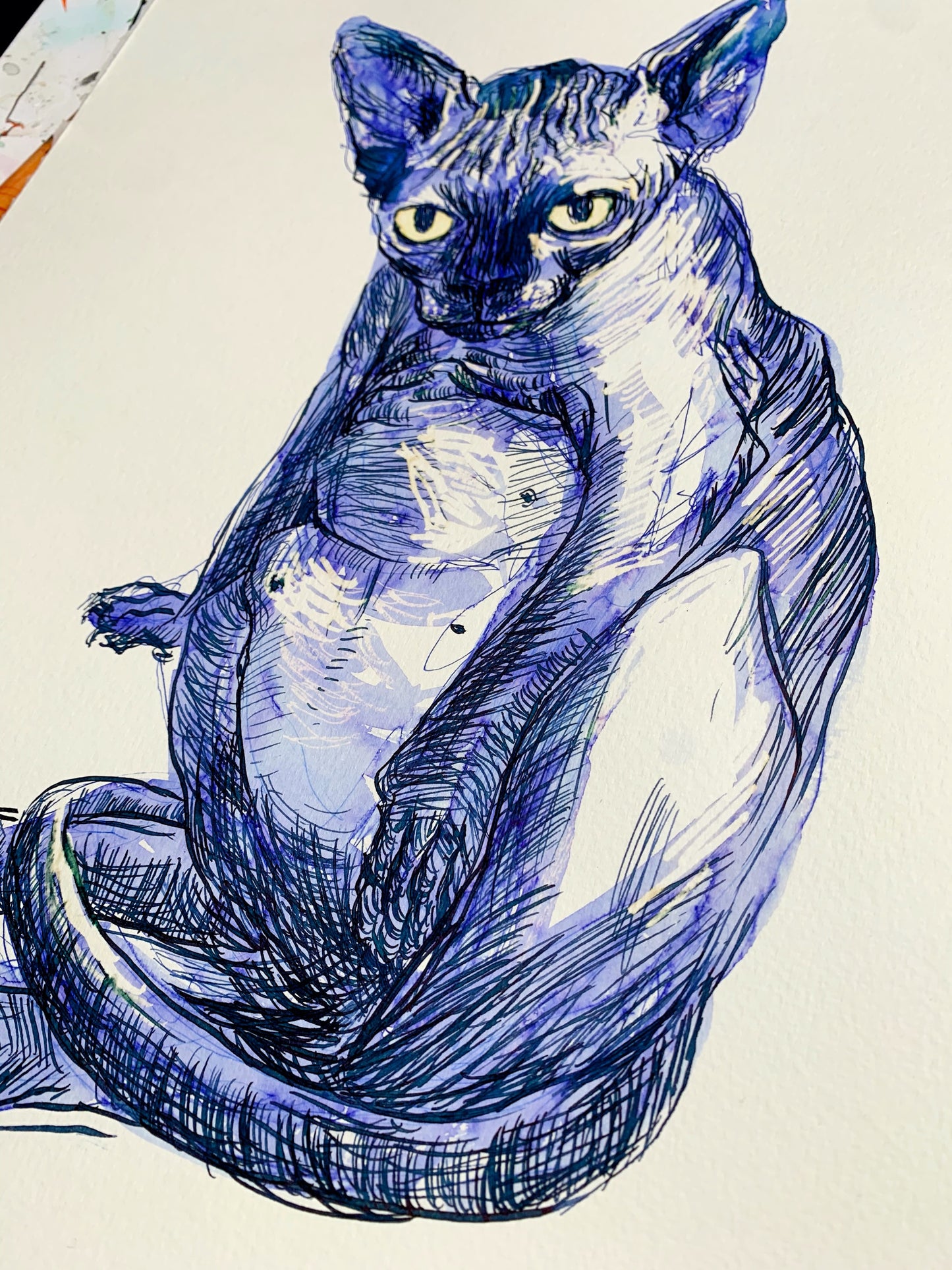 Kali te regarde en bleu