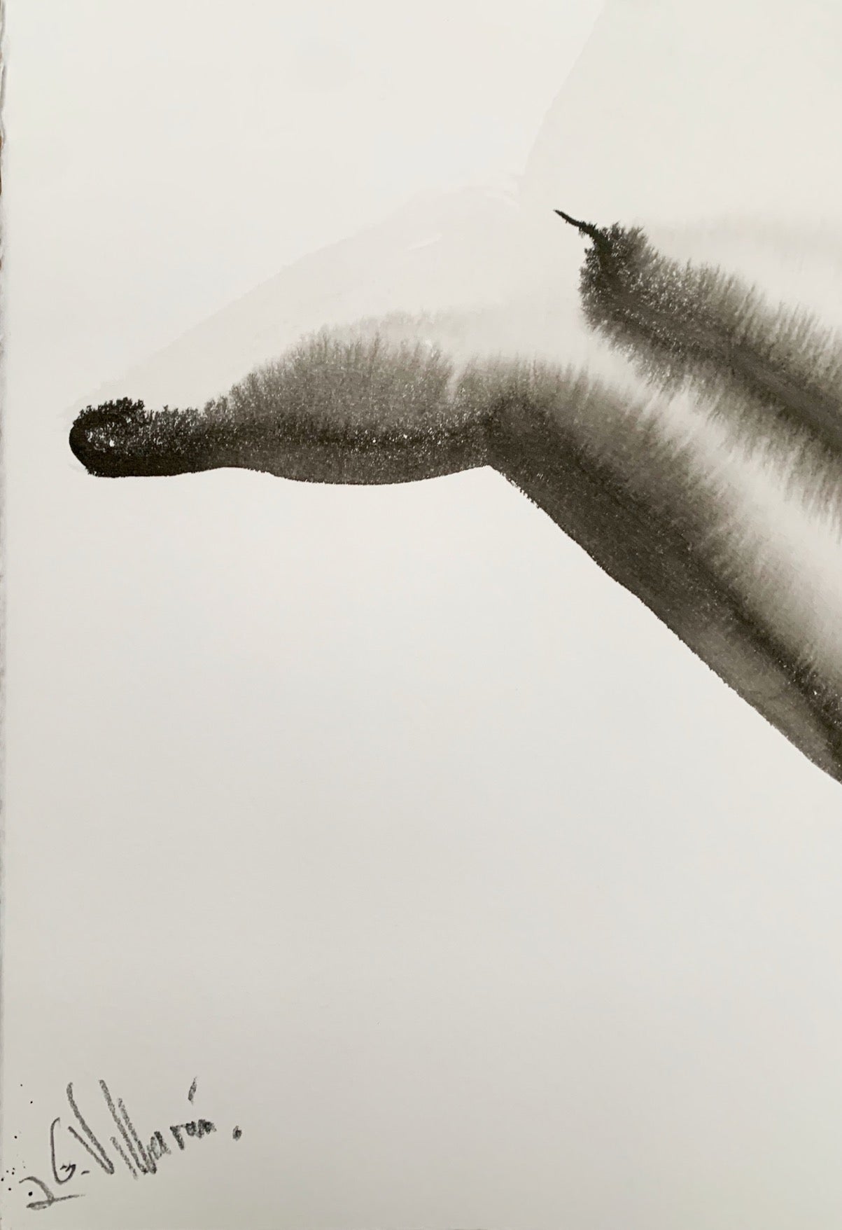 La femme qui voulait être un colibri