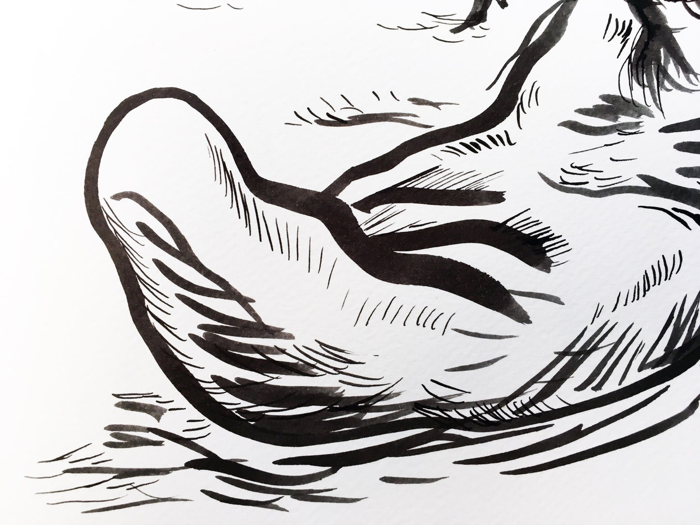 Un chien du monde...