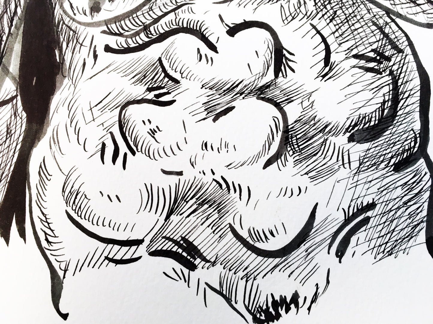 Des milliers d'œufs ont éclos...