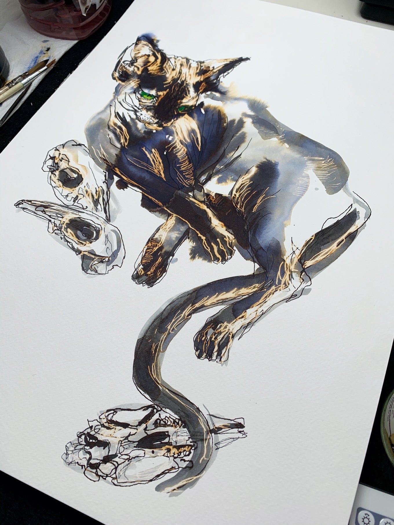 Kali, la cazadora de conejos