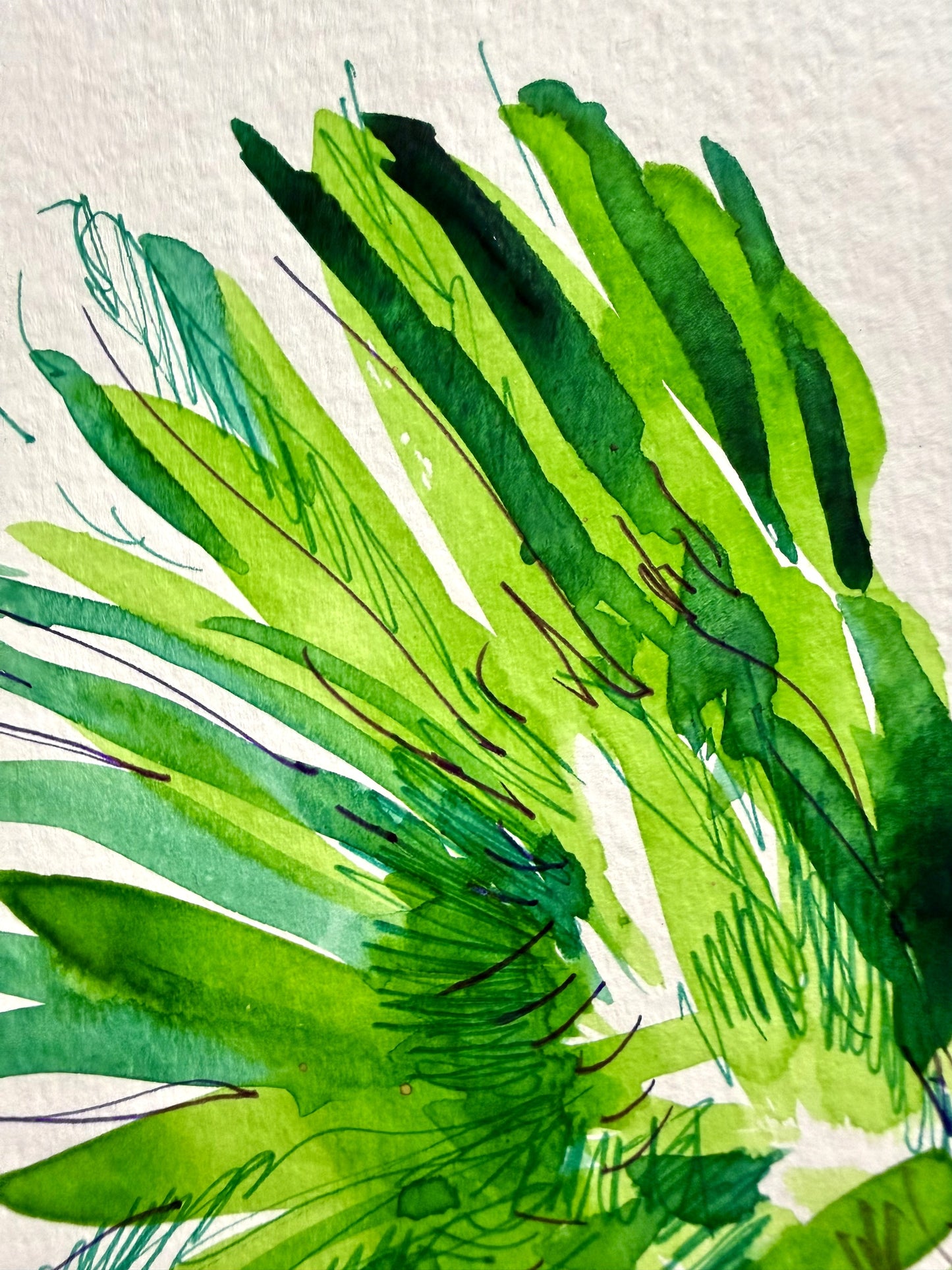 El gallo verde