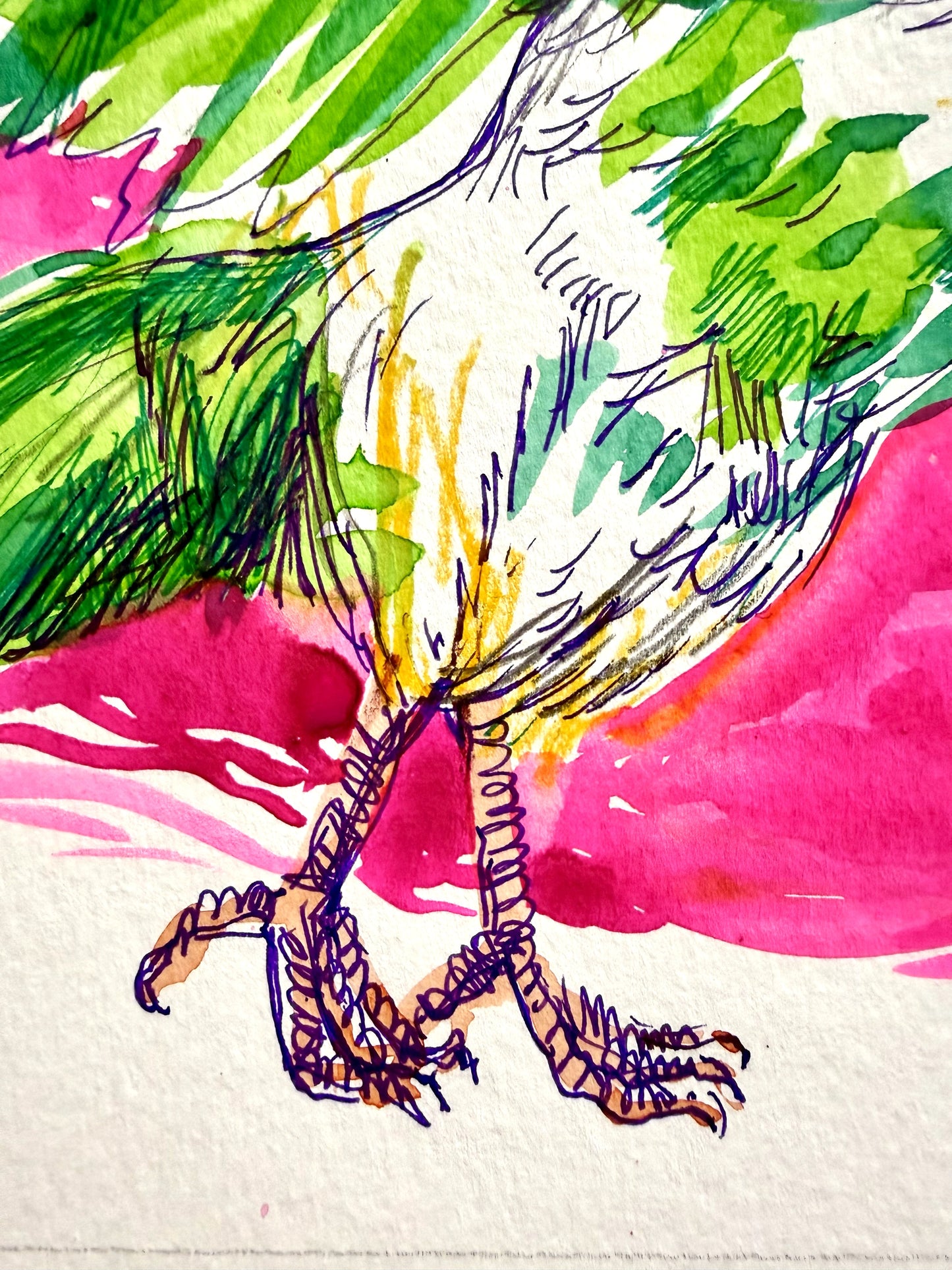 El gallo verde