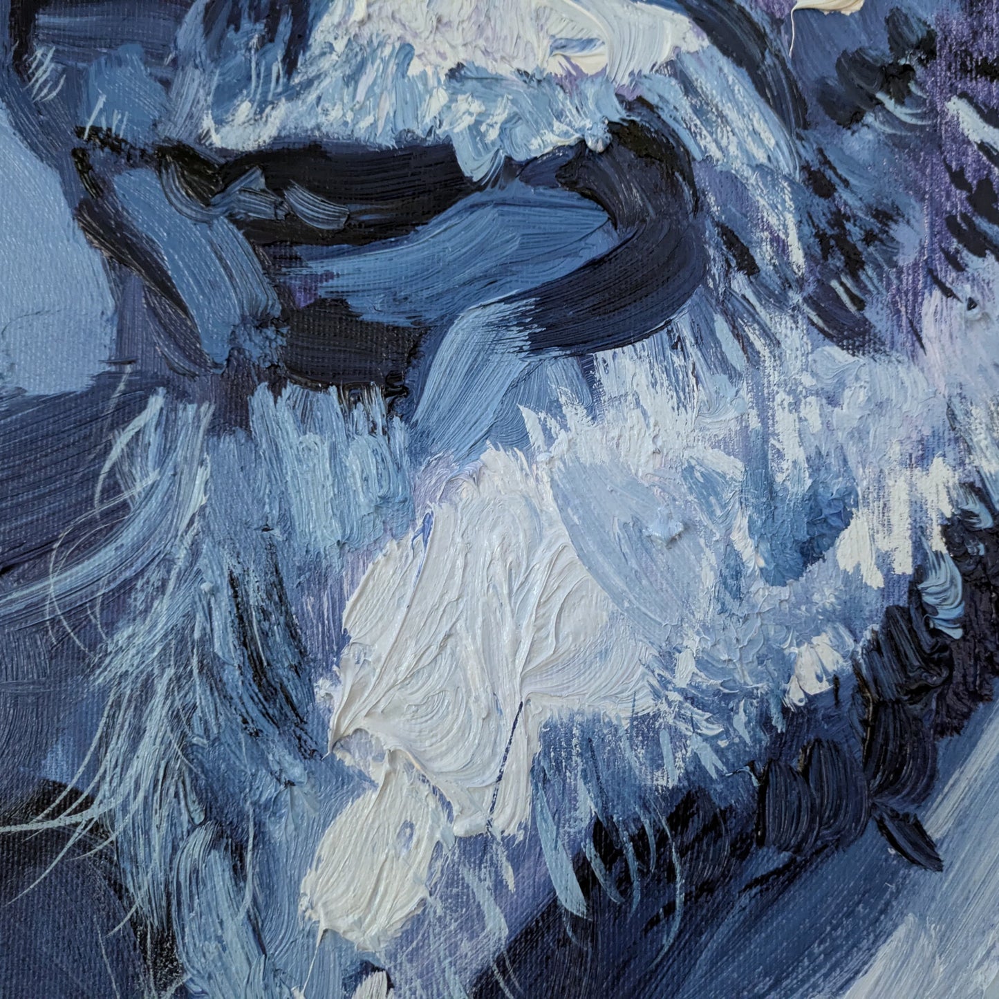 La mirada incrédula