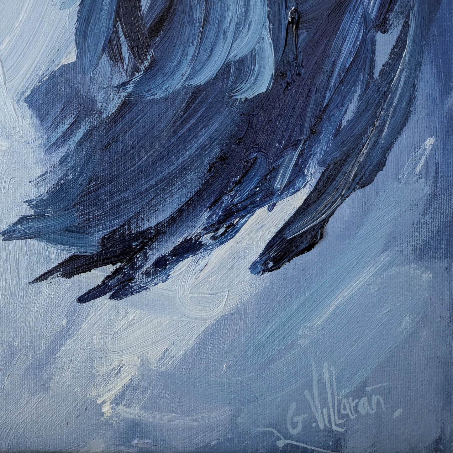 La mirada incrédula