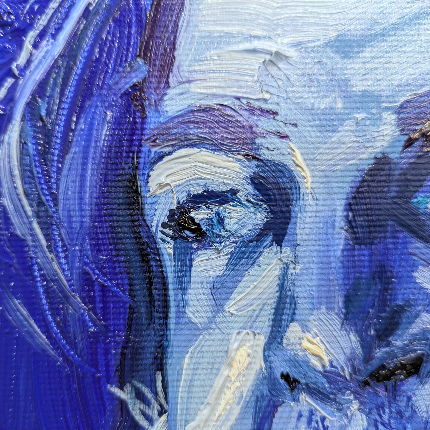 La mirada confiadamente astuta