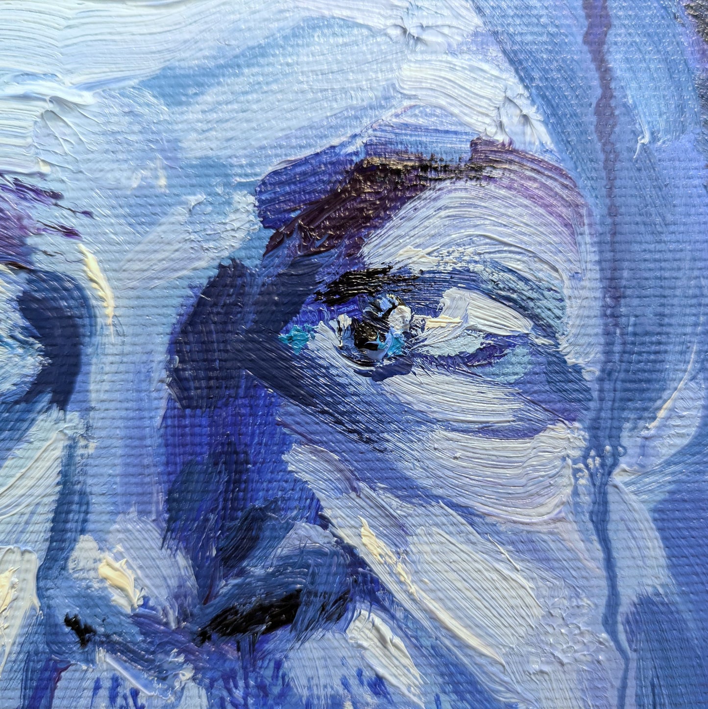 La mirada confiadamente astuta