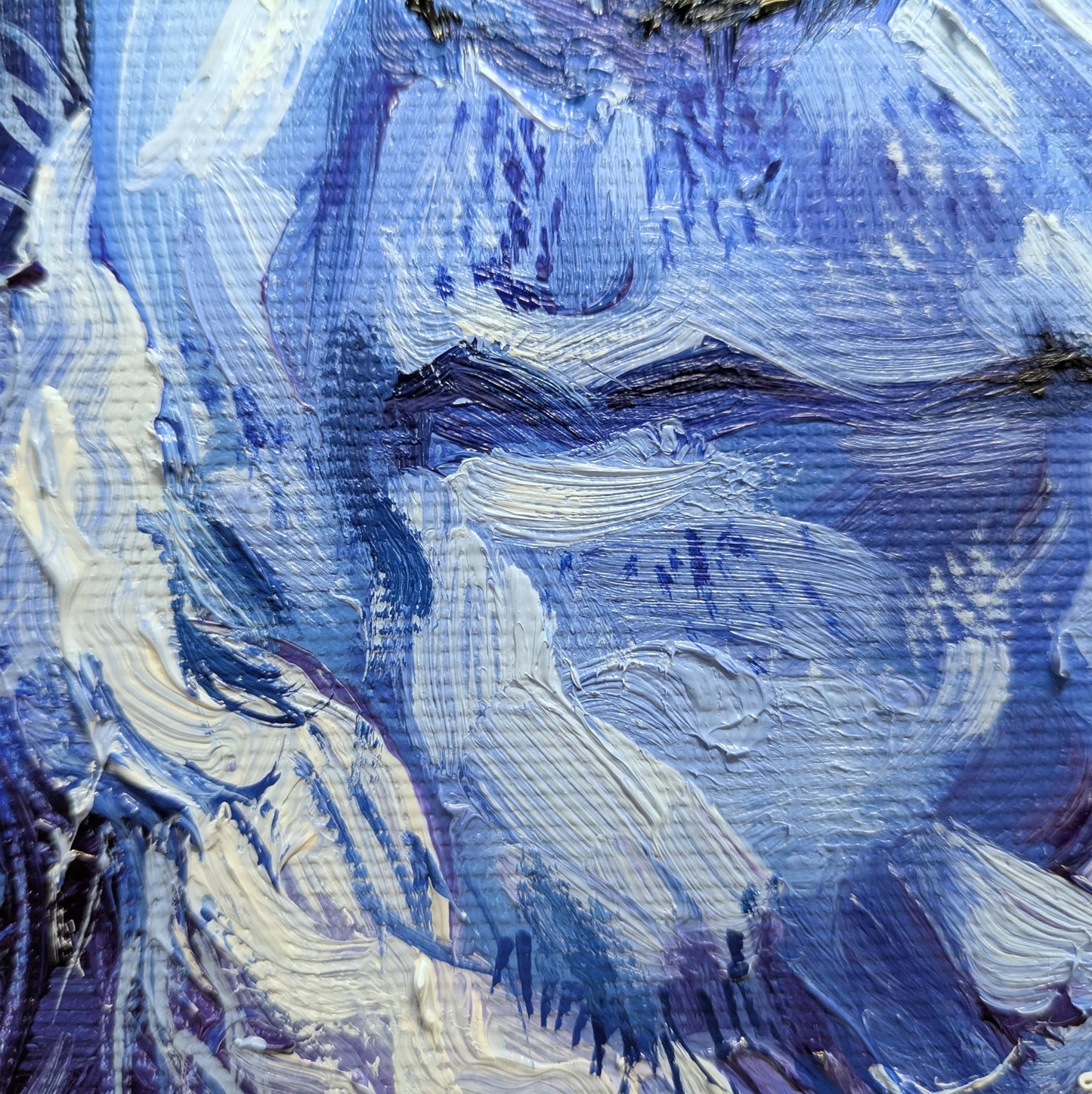 La mirada confiadamente astuta