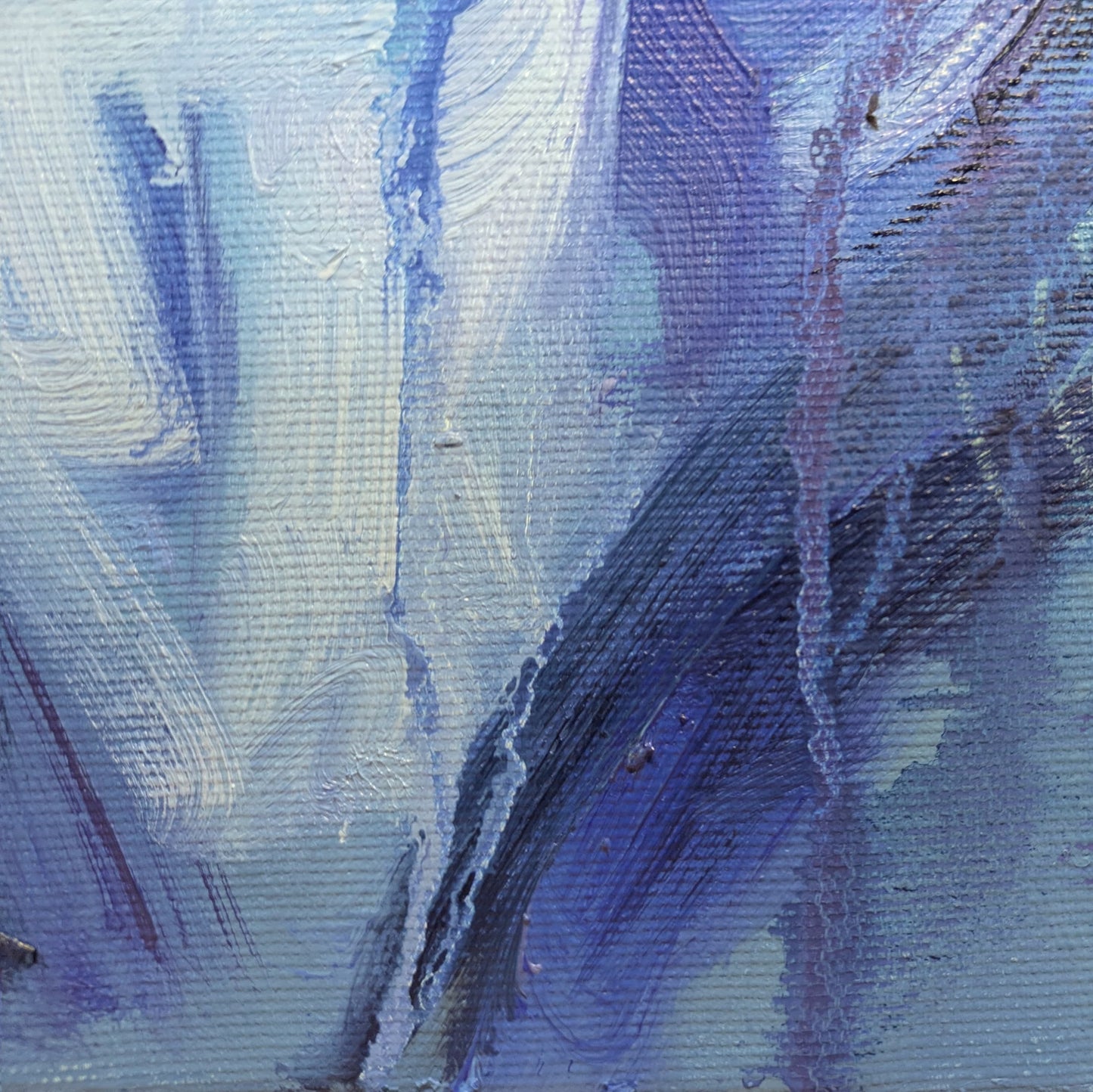 La mirada confiadamente astuta