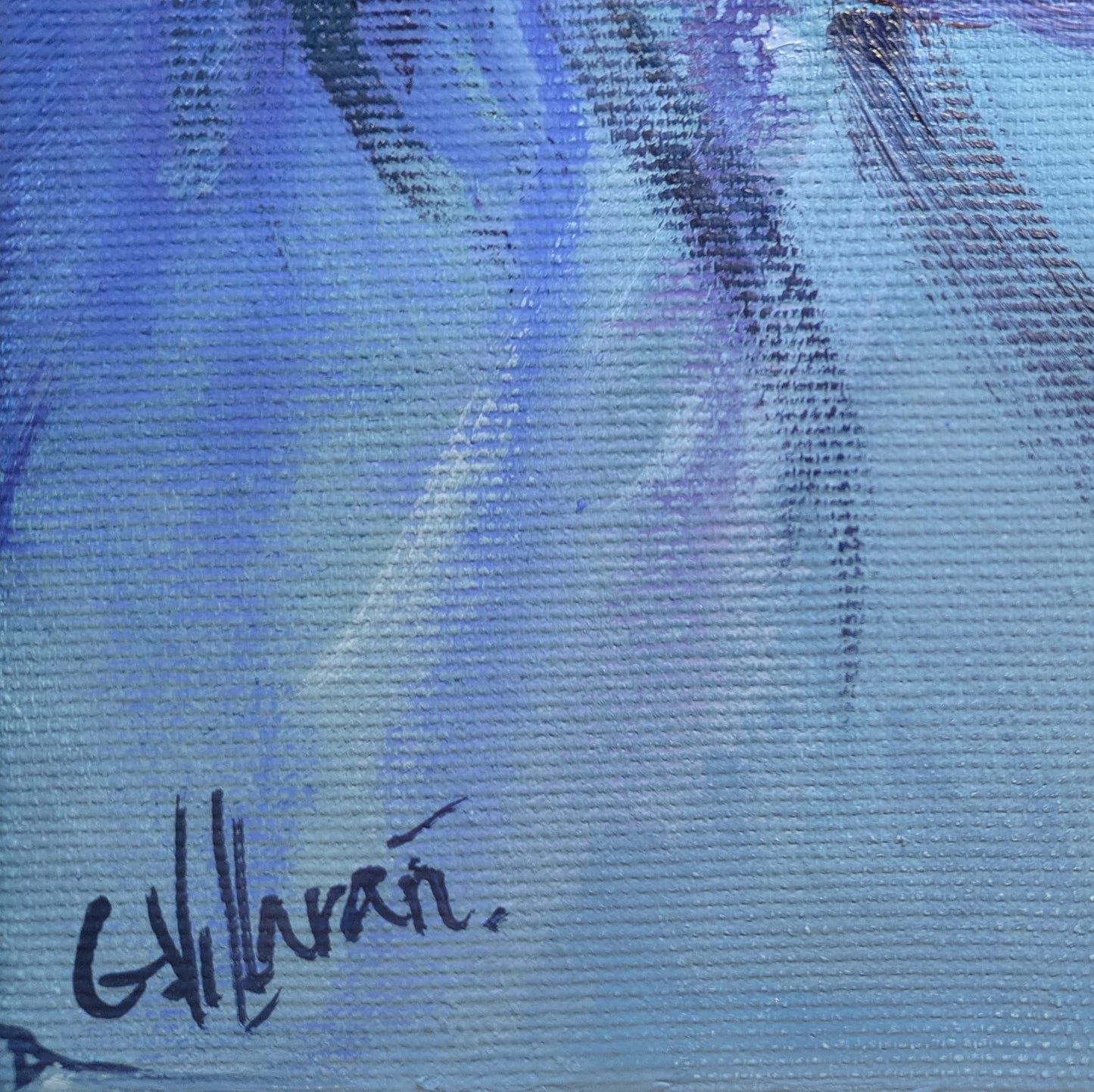 La mirada confiadamente astuta