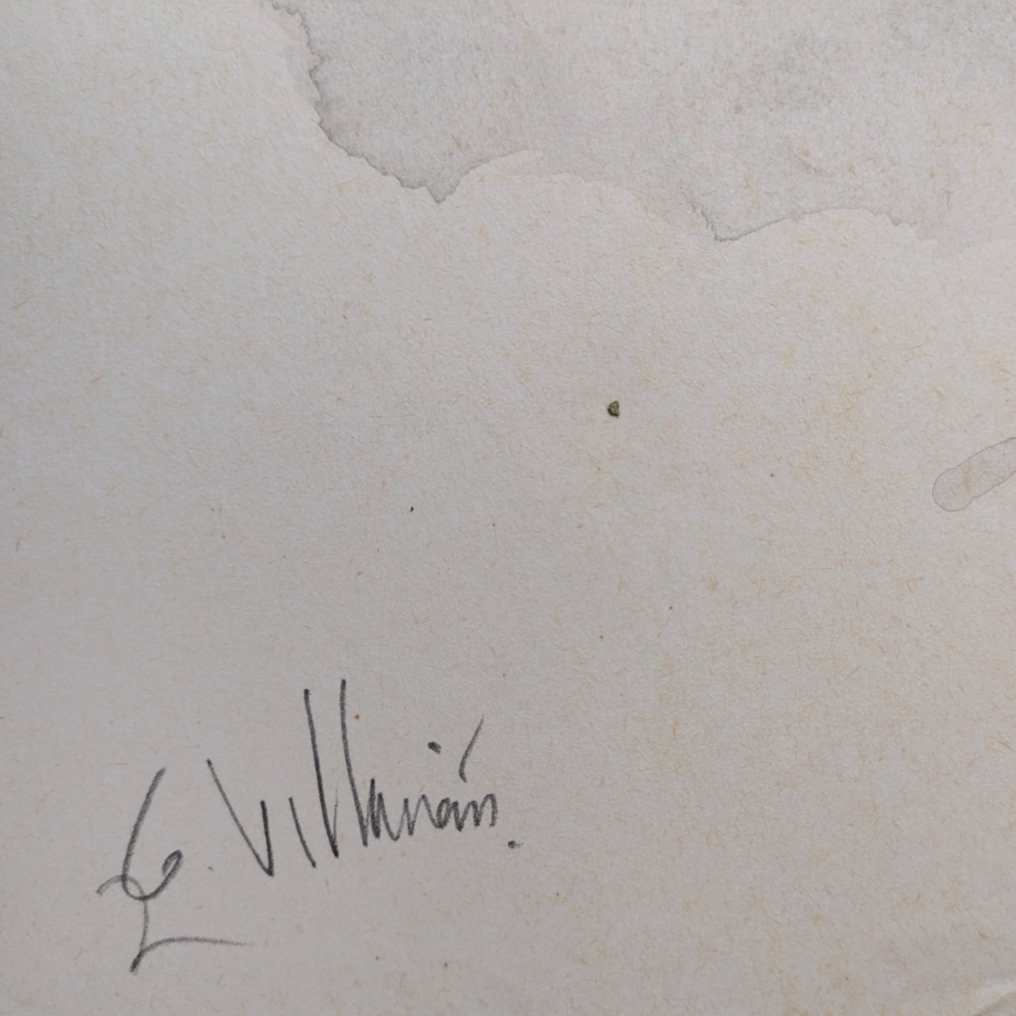 Modelo descansando II