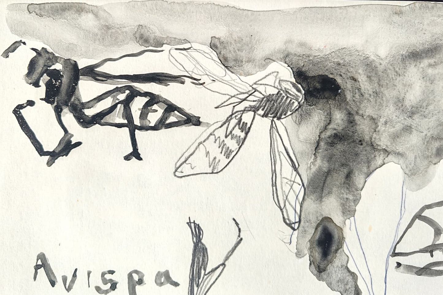 Estudio de avispas