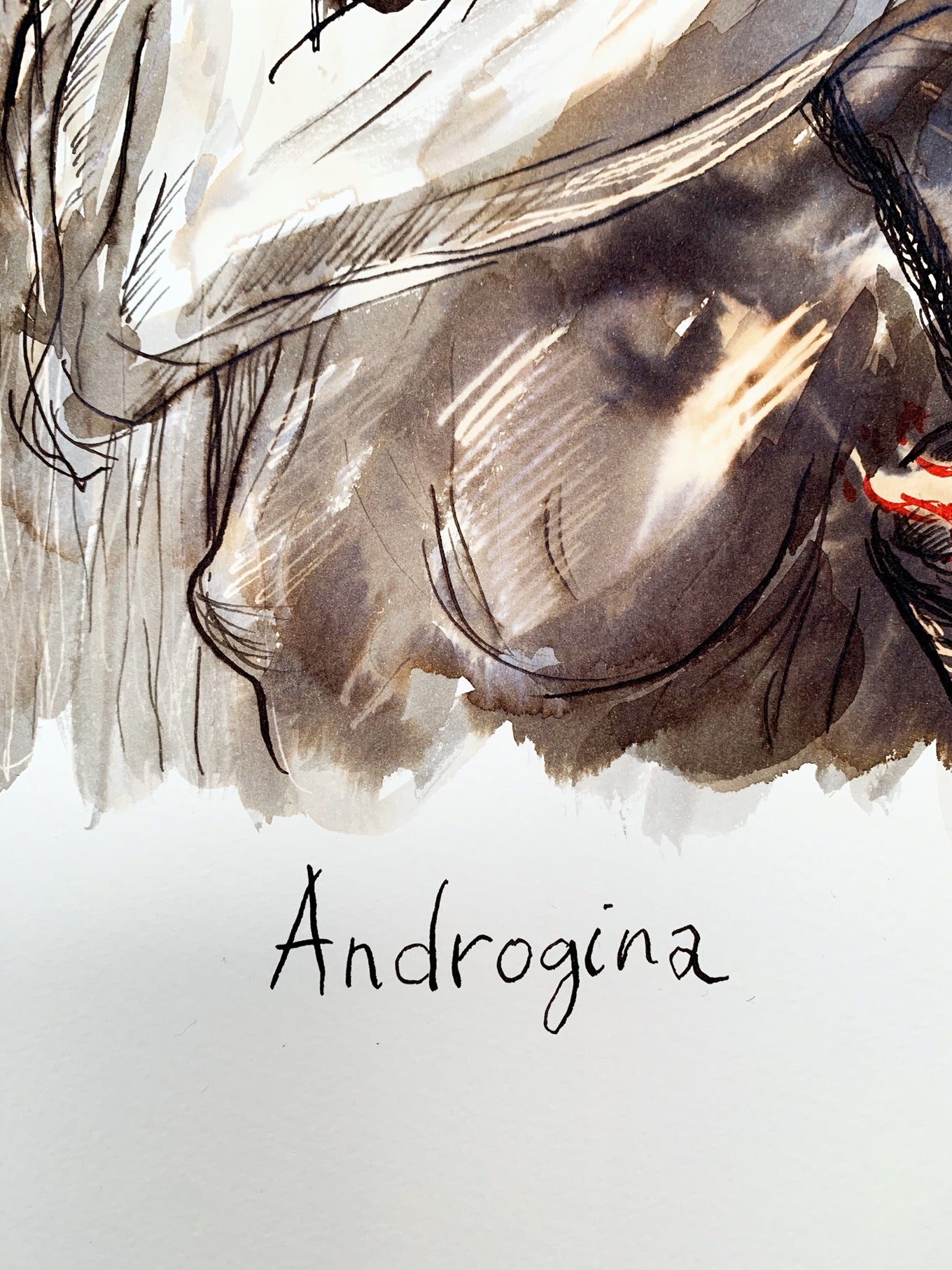Androginas